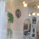 오땡큐 천연머리염색 이미지