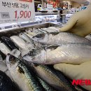 고등어