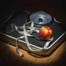 이명성 복싱 다이어트 이미지