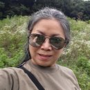 청풍낚시터 이미지