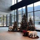 녹송로 | 정선 파크로쉬 리조트 앤 웰니스 [숙암 킹 스위트룸] 2박 3일 국내 태교여행 추천