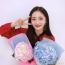 플틴