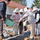 감물초등학교 병설유치원 이미지