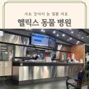 대학동물병원 | 서초 강아지눈질환 헬릭스동물병원 검사 후기