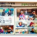 고성리산양목장 이미지