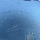 우리켄넬 이미지