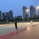 고릴라테니스