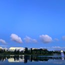 황태자농장 | 닥터스-의학의 일대기