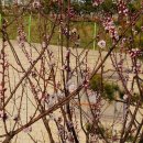 오륙도중학교 이미지