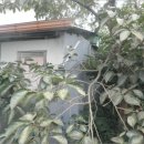 남면주유소 이미지