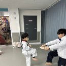 리더스태권도