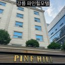 모텔아이유 | 강릉여행 교동,가성비 숙소 파인힐모텔 야놀자 연박할인 내돈내산후기