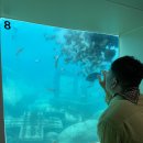 천부해중전망대 이미지