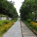 화랑대사거리 이미지