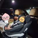 SUV 신생아 카시트는 비세이프 이지턴B! 내돈내산 후기