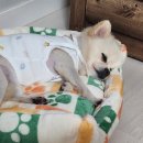 오현농장 이미지