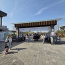 평택-평택-4 | 평택시농업생태원 평택꽃나들이 후기 + 주차..!(4/19 방문)