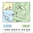 디자인구도