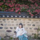 신숭겸장군유적지 | [대구/동구] 신숭겸장군 유적지,배롱나무,담벼락,