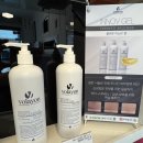 디자인홍조