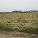 인광1리마을회관 이미지