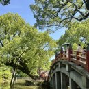 마마스김밥 | 후쿠오카 3일차 유후인버스투어 펀트립 벳부 당일치기 후기