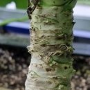 주식회사 스마트큐브 이미지