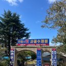 13 | 보령 김가네 사골수제비 : 블루리본 13개 맛집 솔직후기