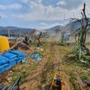 중원농장 이미지