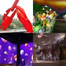 태붐로 | 비오는날 가볼만한곳 전국 명소 BEST 10