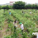 주덕농협 산지유통센터 이미지