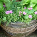 아름다운유치원 이미지