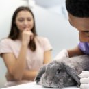 더나은 동물병원 이미지