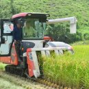 장천시장 이미지