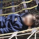 금빛유치원 이미지