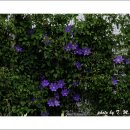 가람농원 이미지