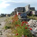 타우르스 이미지