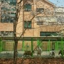 써클켄넬 이미지