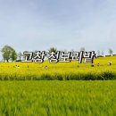 관식이 농장 이미지