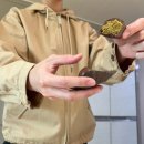 월드컵목장 | 12월??