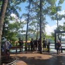 대청호오백리길 4구간(호반낭만길) 이미지