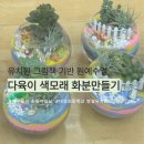 연유치원 | 남양주 구리 유치원 찾아오는 체험학습 , 그림책 기반 원예수업 다육식물 화분 만들기