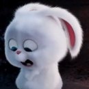 올라운더즈