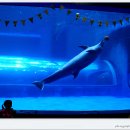 장생포고래박물관 이미지