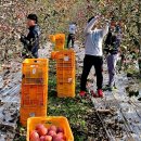 삼국유사면행정복지센터 이미지