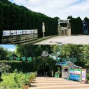 팜카밀레 | 충남투어패스 실사용기 | 안면도 미로공원 &amp; 팜카밀레 수국축제 솔직 후기