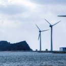 알로한 태양광발전소 이미지