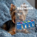 햇살온누리약국 이미지