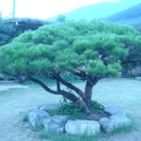 전국민박 이미지