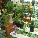 우리꽃집 이미지